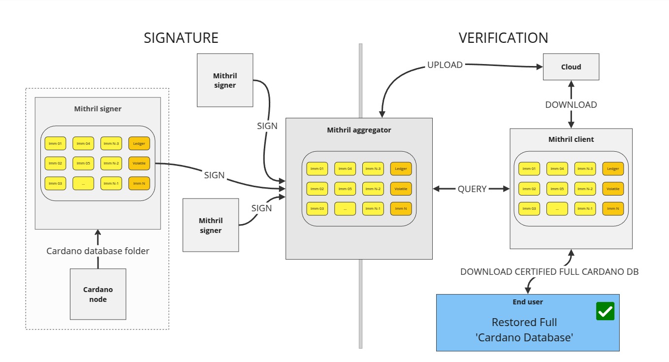 Design of the certification of the Cardano node internal database