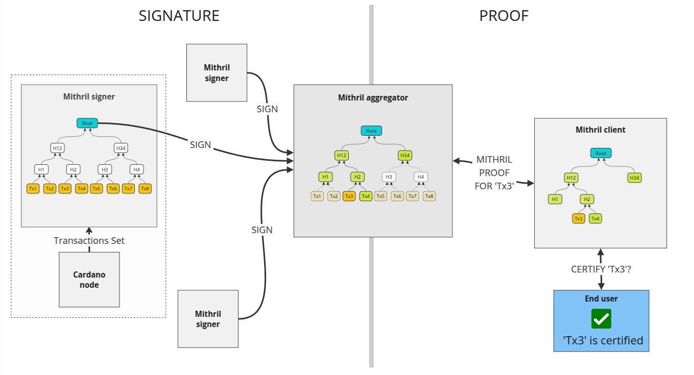 Design of the certification of the Cardano transactions