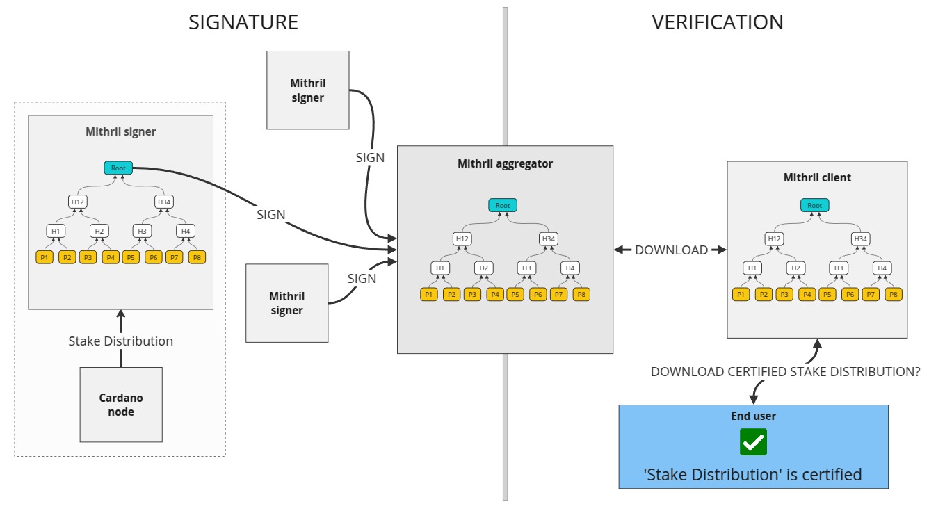 Design of the certification of the Cardano stake distribution